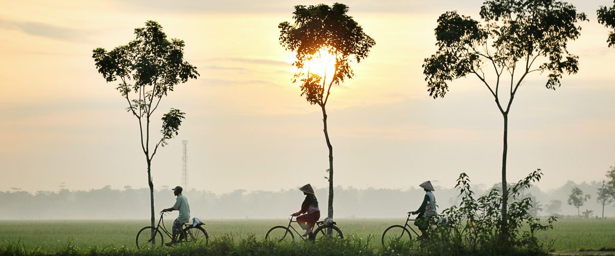 Three person riding bikes on green grass field