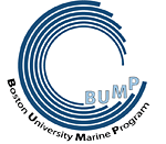 BUMP_logo