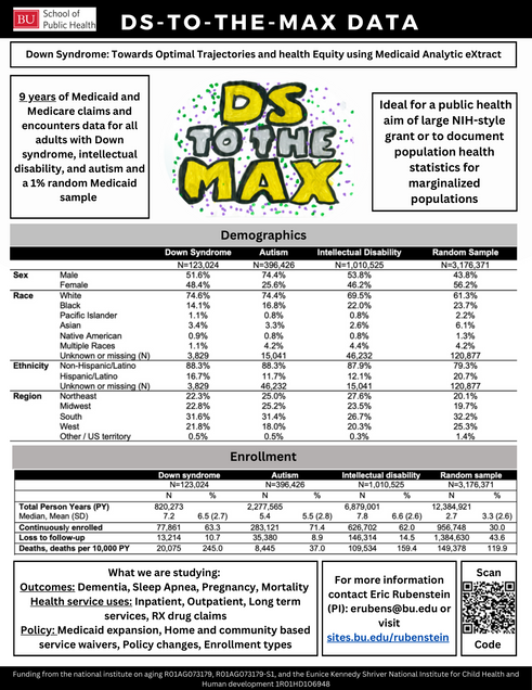A one-pager describing the work done in DS-TO-THE-MAX