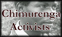 Chimurenga Activists