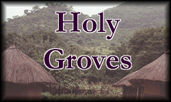 Holy Groves