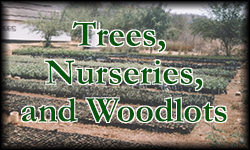Trees, Nurseries, and Woodlocks