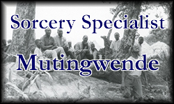 Sorcery Specialist Mutingwende