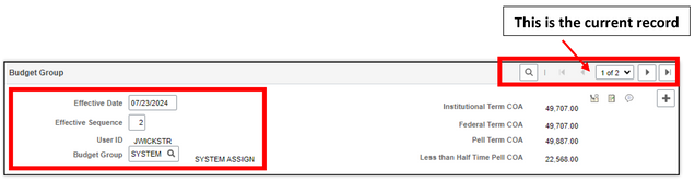 This image shows an example of a new row that will be displayed after the plus icon is clicked.