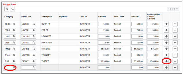 This image shows the budget item section, highlighting the plus icon at the bottom right side of the section that will create a new budget item below the existing ones.