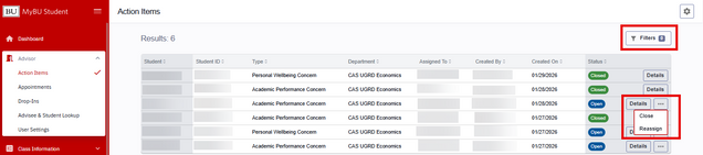 The Advisor > Action Items page, displaying information on all Action Items assigned within the advisor’s department, the Filters button, and the Details and three dots menu buttons.