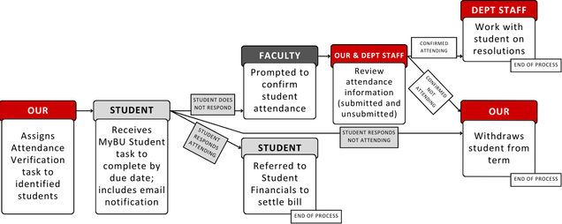Visual workflow of previous written process steps