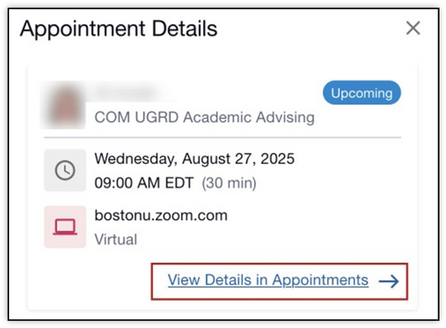 An Appointment Details window, displaying meeting date, time, and URL link, and a link to view more details.