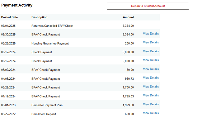 Example of Payment Activity screen.