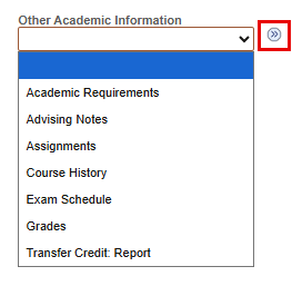 The Other Academic Information drop down menu in the Academics section.