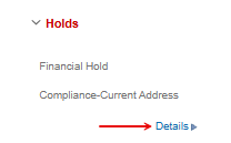 The Details link to open more information on Holds listed for a student.