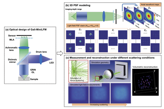 3D scattering microphantom sample to assess quantitative accuracy in  tomographic phase microscopy techniques