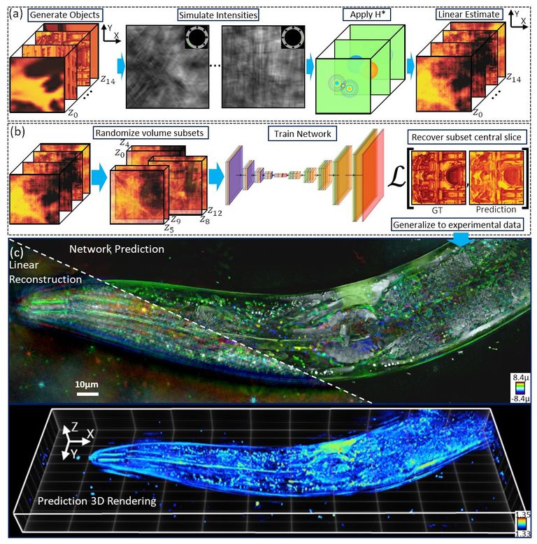 Imaging In Scattering Media | Tian Lab