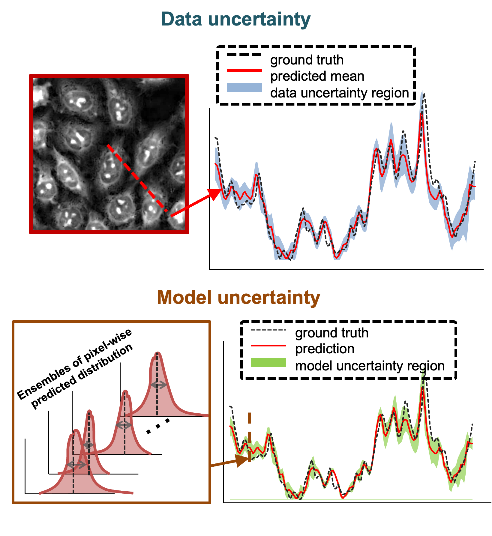 Research | Tian Lab