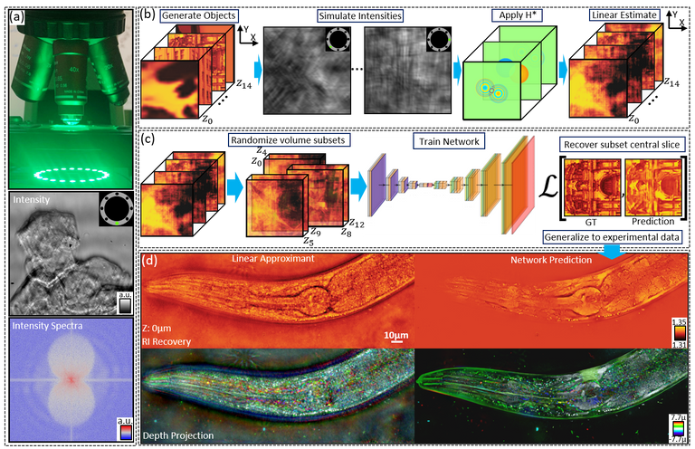 Publications | Tian Lab
