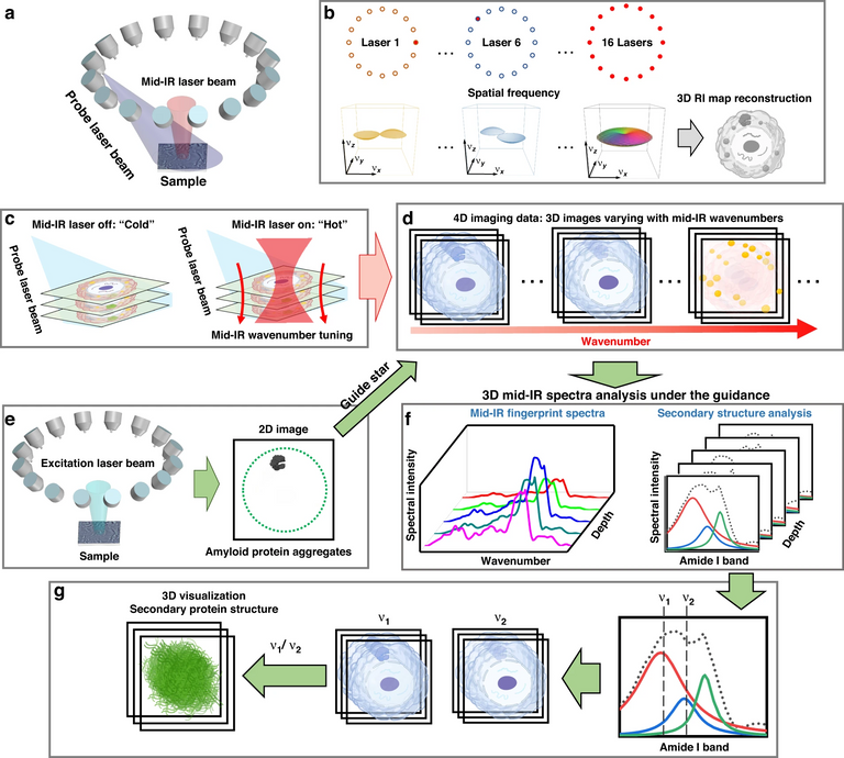 Publications | Tian Lab