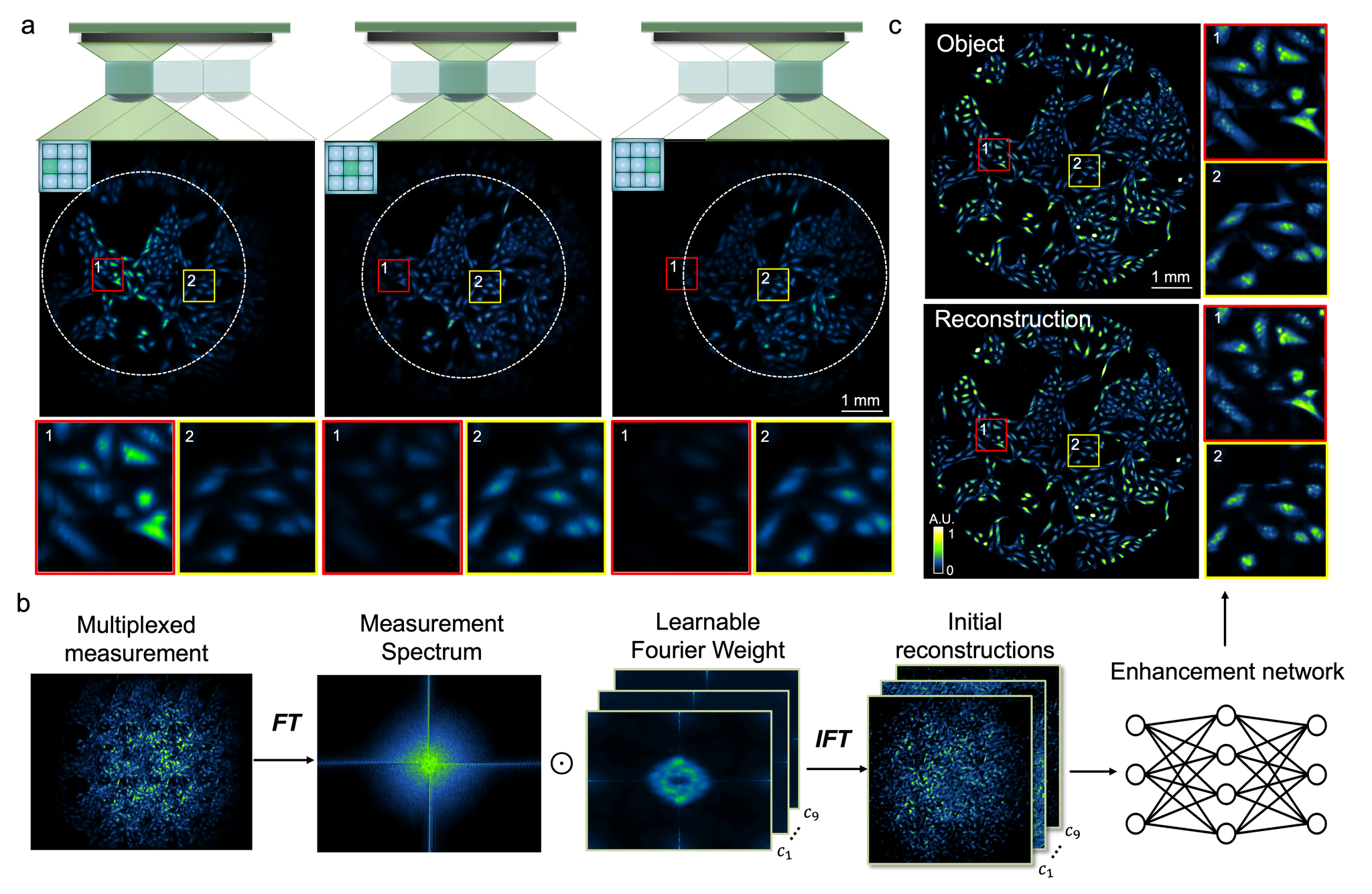 Publications | Tian Lab