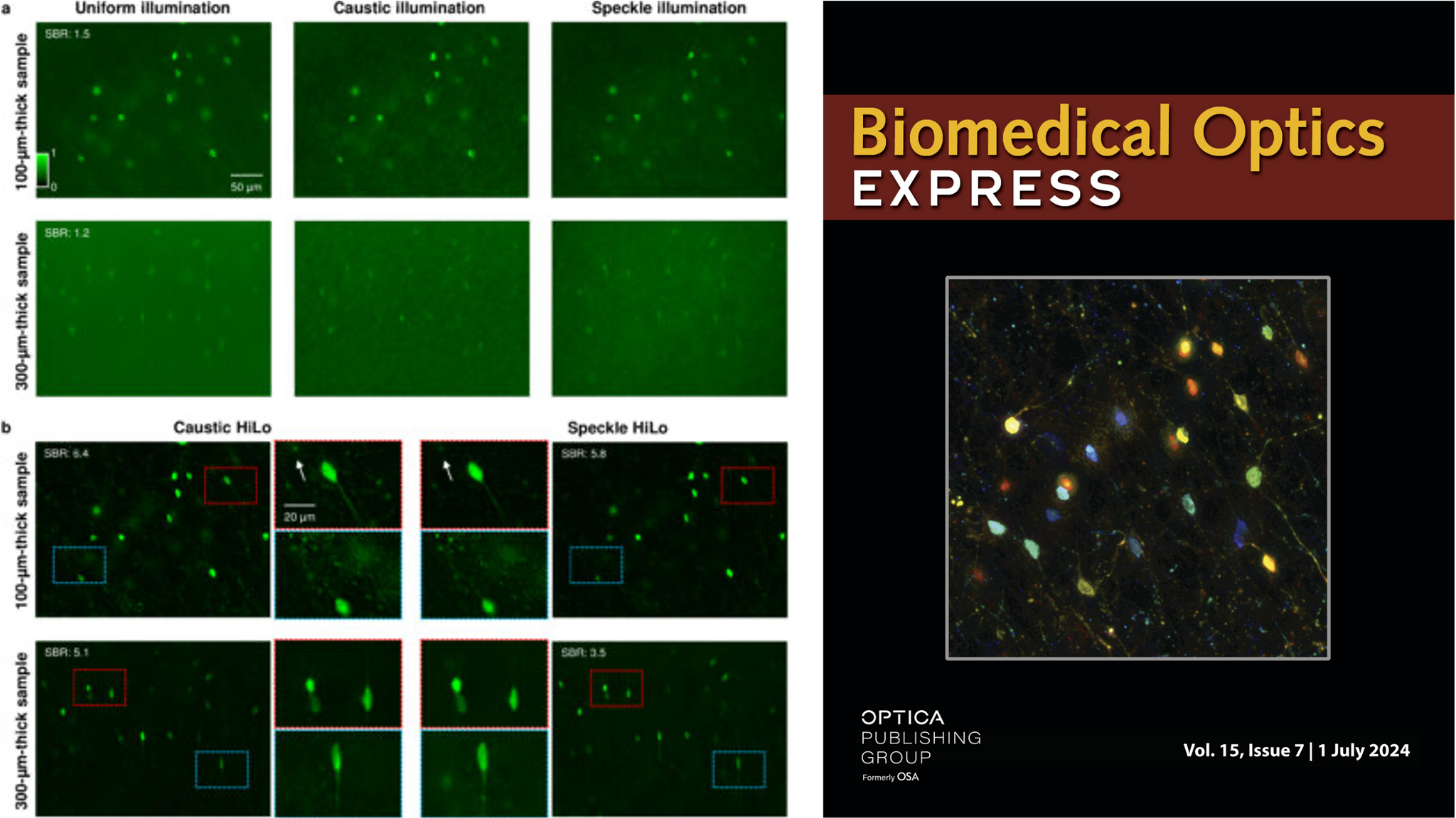 Publications | Tian Lab