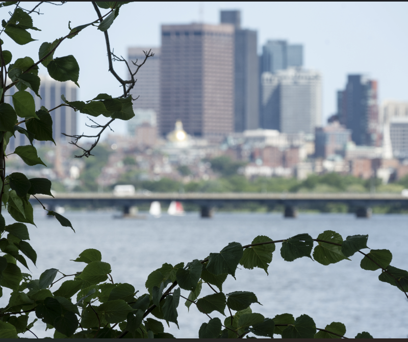 Charles River with city skyline in background