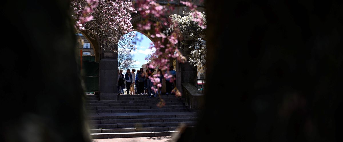 Spring near Marsh Chapel
