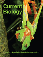 2010 Current Biology cover