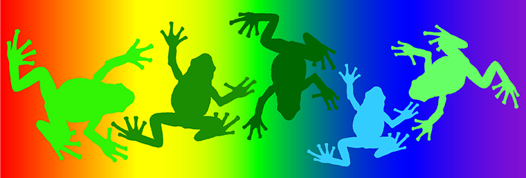 Frogs on a rainbow