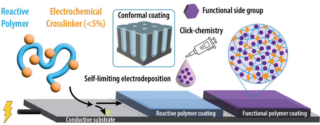45) Electrodeposition of Reactive Polymer Networks for Conformal ...