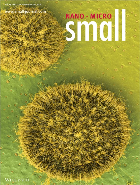 Cover of scientific journal